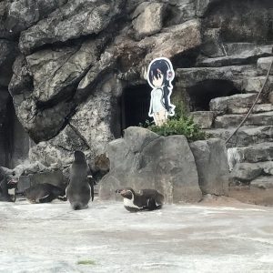 Otaku pingvin har fundet sin waifu