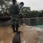 Grape-kun mistede kort sin waifu på grund af tyfon