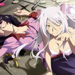 8. Monogatari series