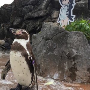 Grape-kun er død