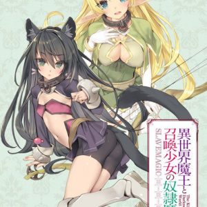 “How NOT to Summon a Demon Lord” Light Novels laves til TV anime