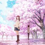 Livet er flygtig ligesom kirsebærblomsterne i "I Want to Eat Your Pancreas" nøgle billede