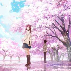 Livet er flygtig ligesom kirsebærblomsterne i “I Want to Eat Your Pancreas” nøgle billede