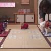 Katte spiller kort i Chihayafuru film samarbejds videoer