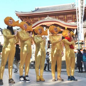 Nagoyas Shachihoko Boys