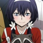 14. Kyouka Izumi (Bungo Stray Dogs)