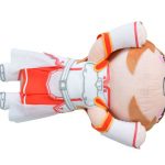 Sword Art Online Nesoberi Plush Knights of the Blood Asuna (LL)