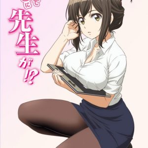 Why the hell are you here, Teacher!? TV Anime Info