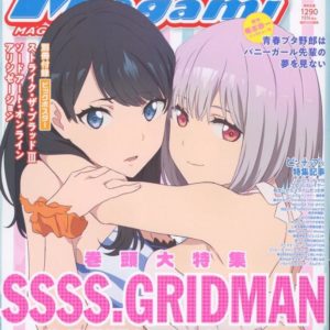 Megami Magazine Januar 2019 Scans