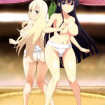 Senran Kagura