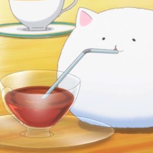 Top 10 anime kæledyr