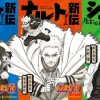 Naruto Shinden romaner får anime