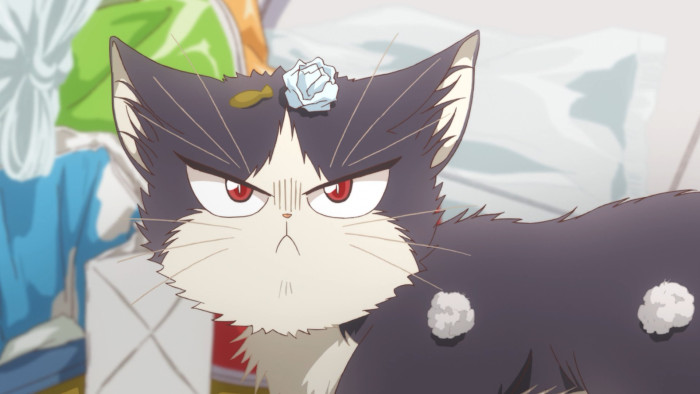 13. My Roommate is a Cat