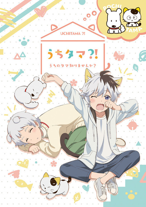Tama and Friends' Uchi Tama!? TV anime i 2020