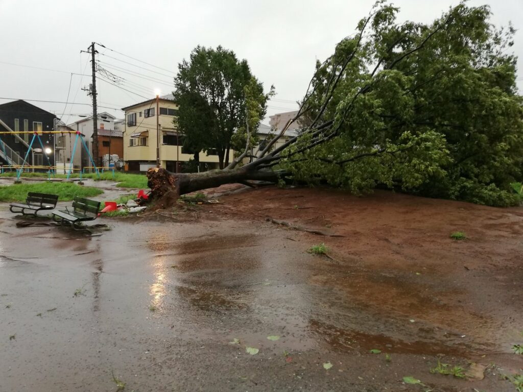 Chiba Prefecture blev hårdest ramt, da tyfonen først ramte land der