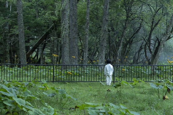 The Promised Neverland laves til live action film