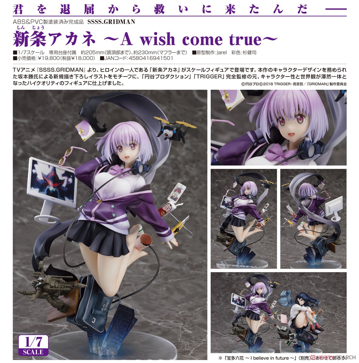 SSSS.GRIDMAN Akane Shinjo -A Wish Come True-