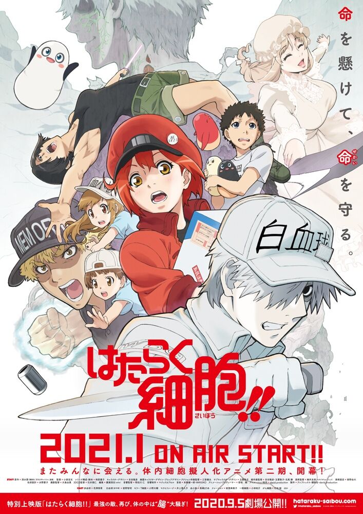 Cells at Work! anime får anden sæson januar 2021 og film til september 2020