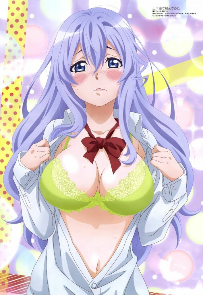 I Tried Asking In Dogeza