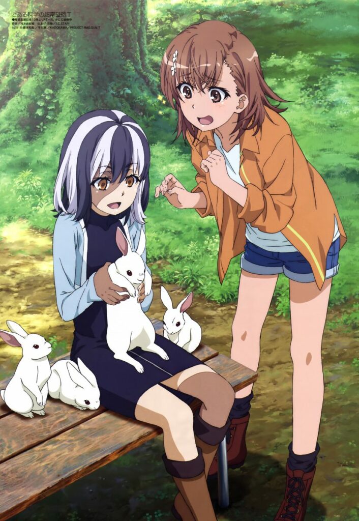 Toaru Kagaku no Railgun T