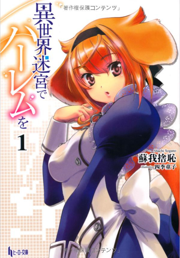 Isekai Meikyū de Harem o light novels laves til TV anime