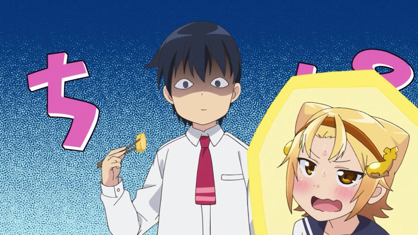 Yatogame-chan Kansatsu Nikki anmeldelse