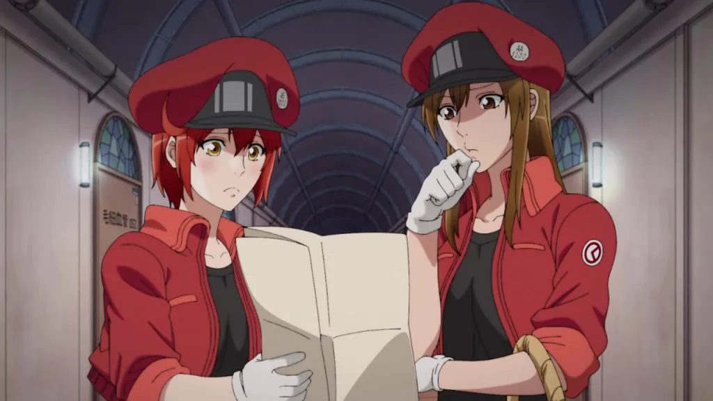 Cells at Work