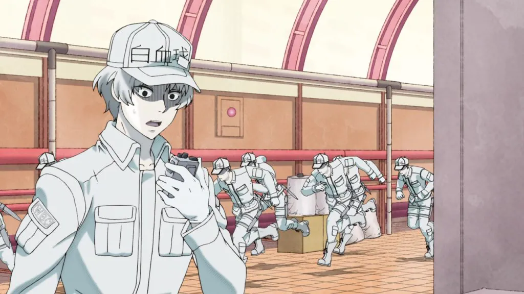 Cells at Work