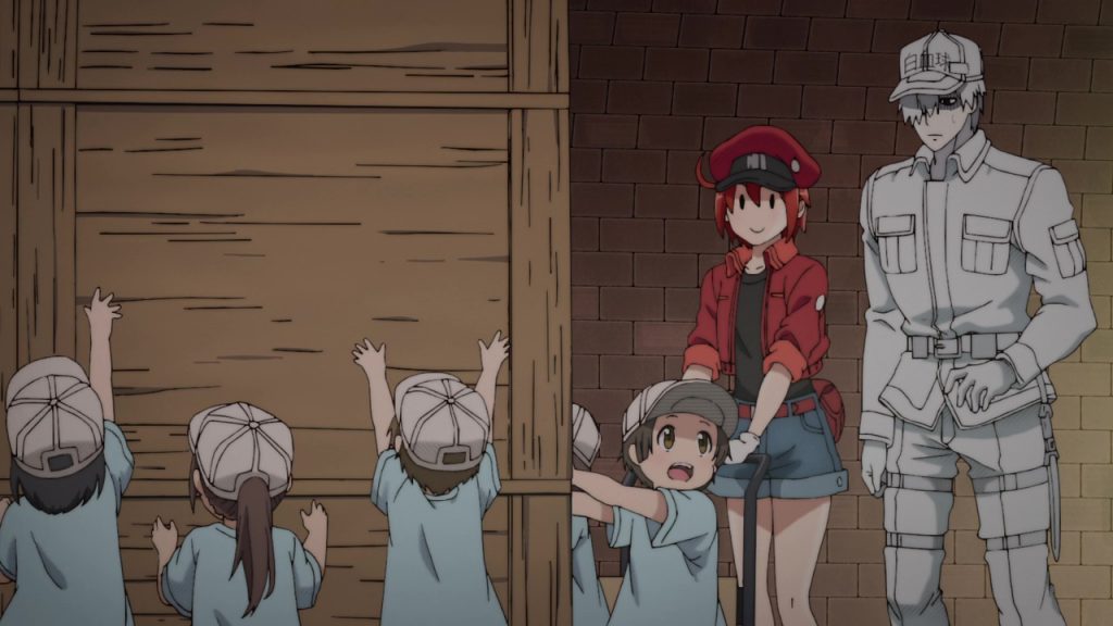 Cells at Work