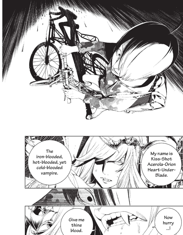 Bakemonogatari bog 2