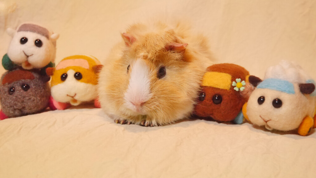 Stemmelæggeren til Molcar er død