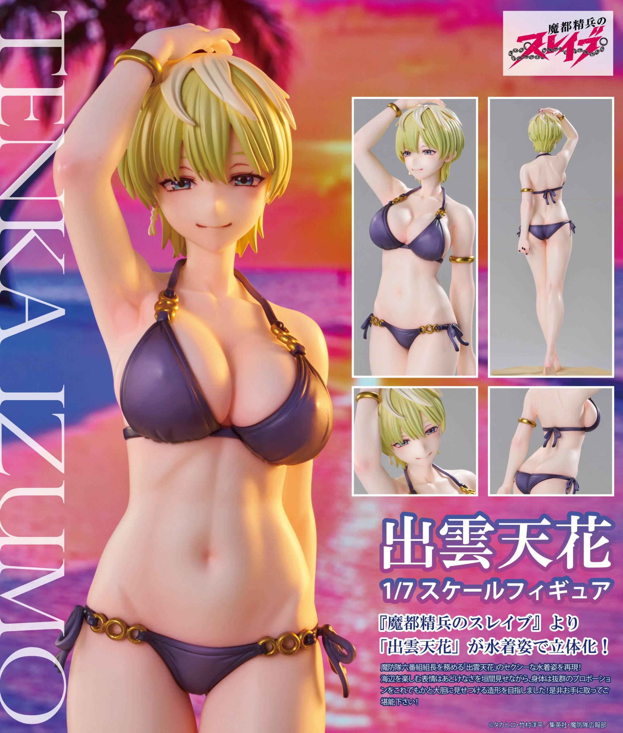 Chained Soldier Tenka Izumo Swimsuit Ver